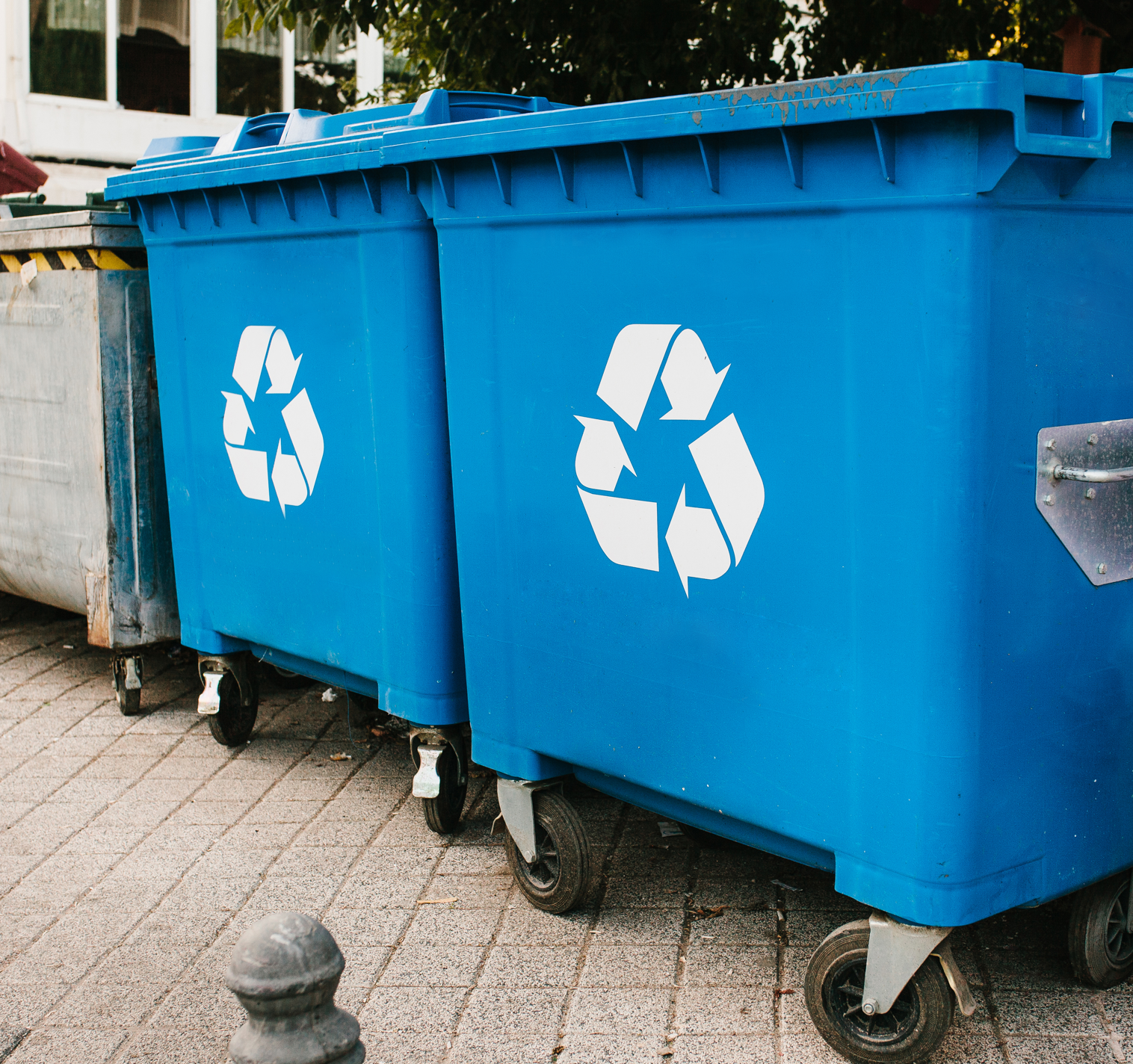 Blue Bins